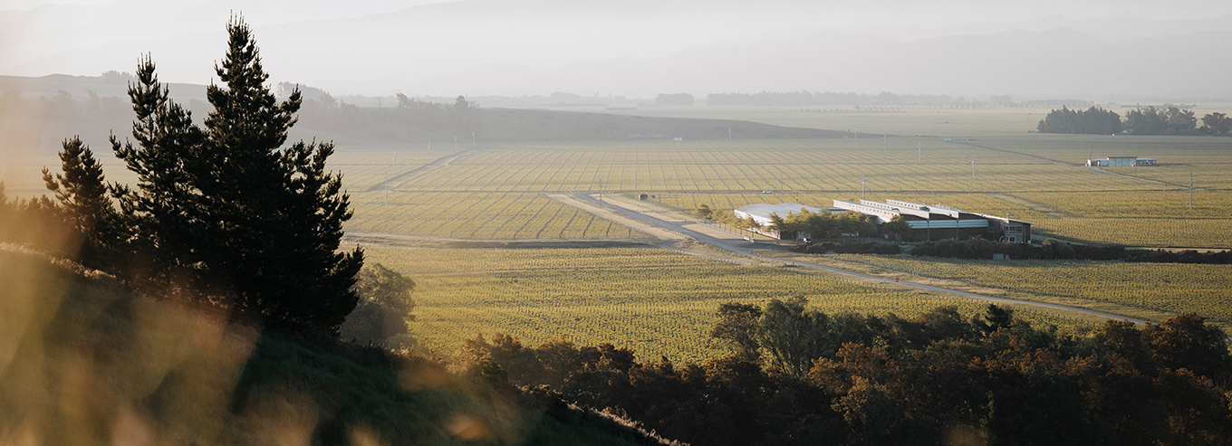 Spy Valley vineyard grounds 